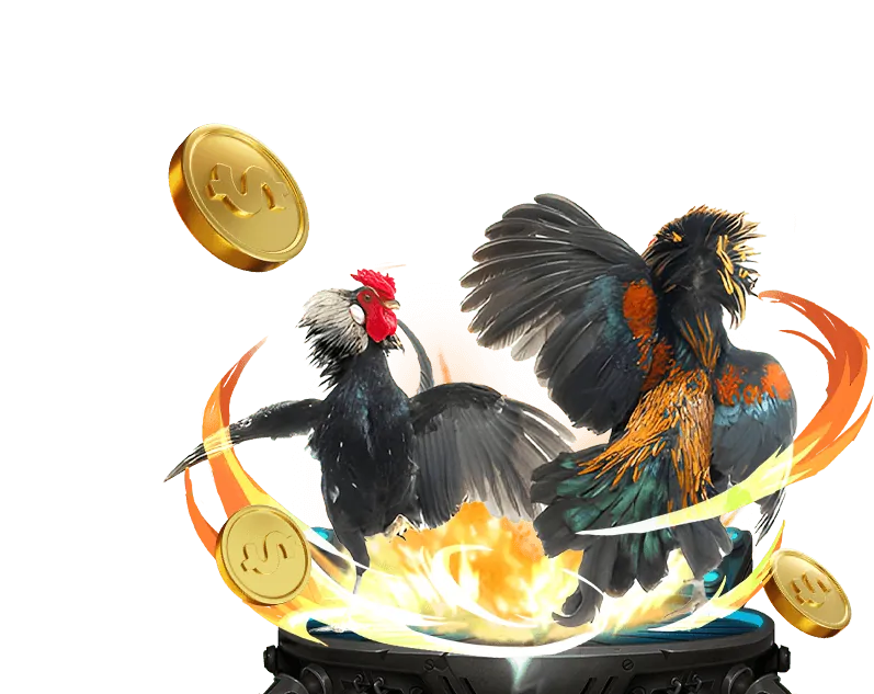 Hướng dẫn đặt cược đá gà BJ39